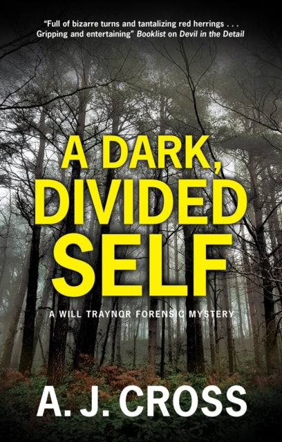 Dark, Divided Self