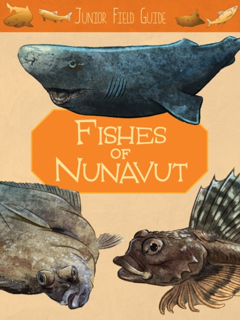 Junior Field Guide: Fishes of Nunavut: English Edition
