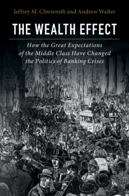 Wealth Effect: How the Great Expectations of the Middle Class Have Changed the Politics of Banking Crises