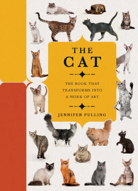 Paperscapes: The Cat