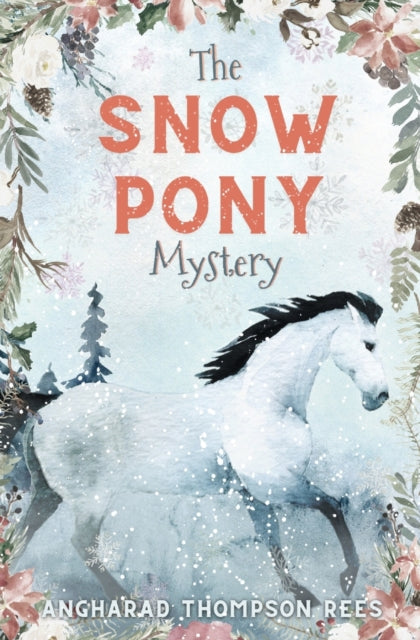 Snow Pony Mystery