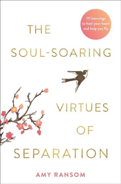 Soul-Soaring Virtues of Separation: 111 Learnings to Heal Your Heart and Help You Fly