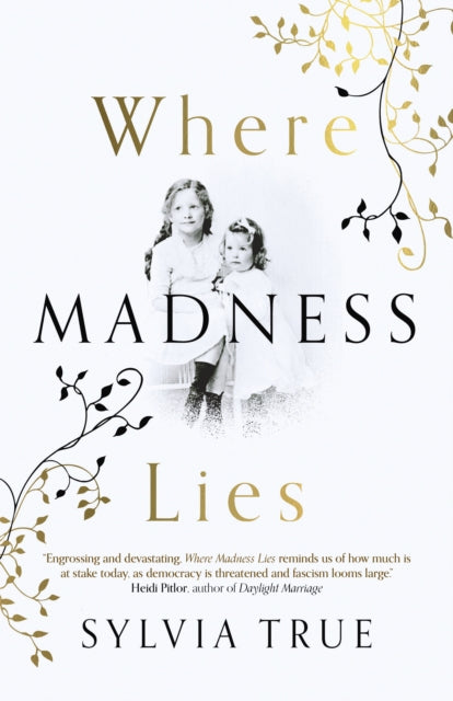 Where Madness Lies - A Novel