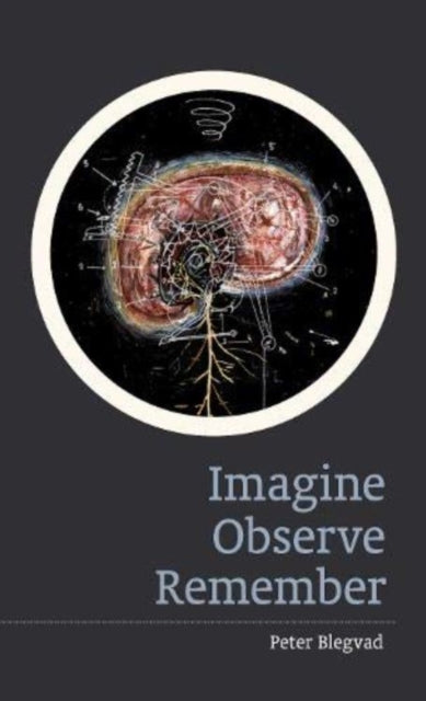 Imagine, Observe, Remember