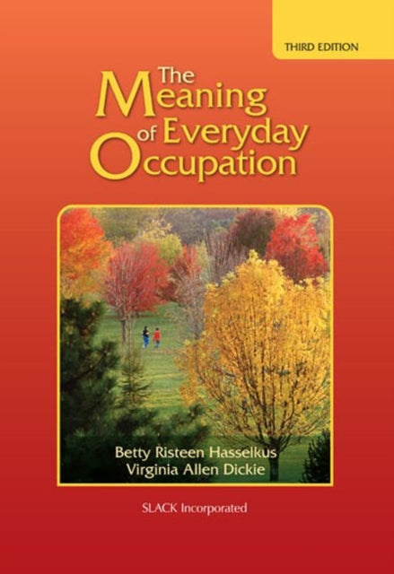 Meaning of Everyday Occupation