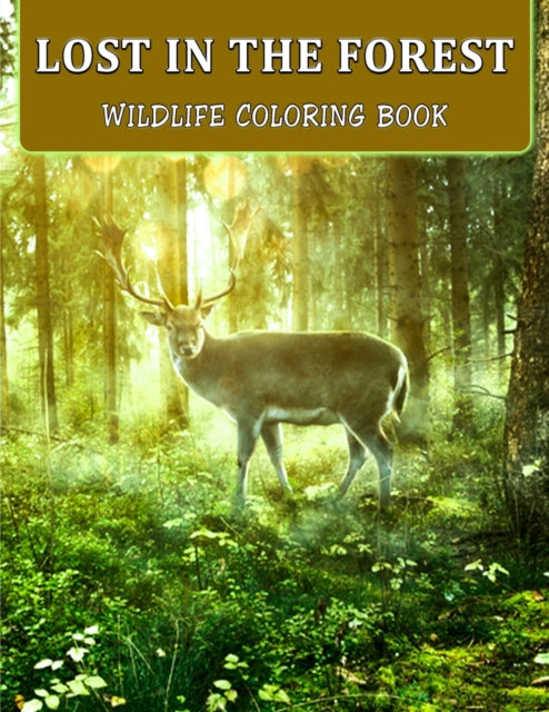 Lost In The Forest: Wildlife Coloring Book - Beautiful Forest Animals, Insects, Plants and Birds