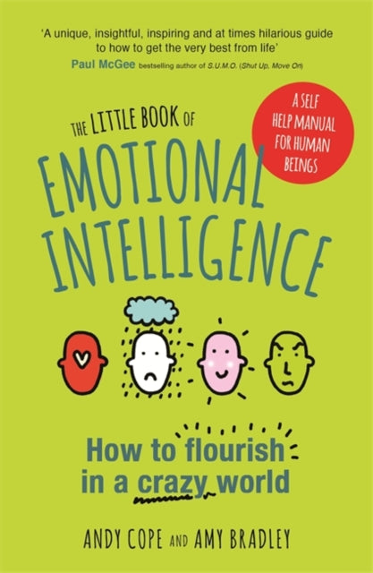 Little Book of Emotional Intelligence: How to Flourish in a Crazy World