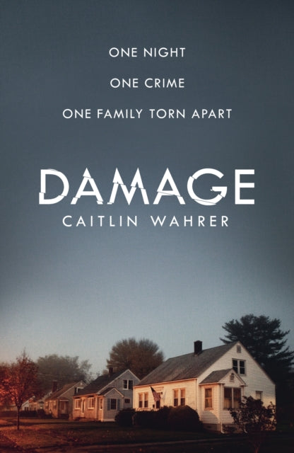 Damage: An unputdownable and emotionally gripping debut with a twist you won't see coming