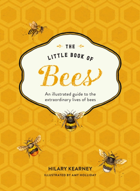 Little Book of Bees: An Illustrated Guide to the Extraordinary Lives of Bees