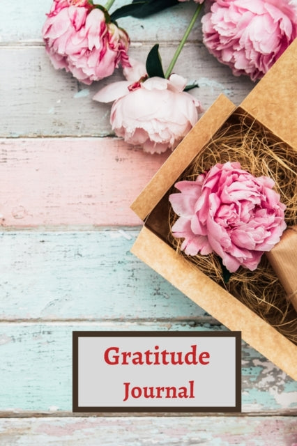 Gratitude Planner for teens and adults
