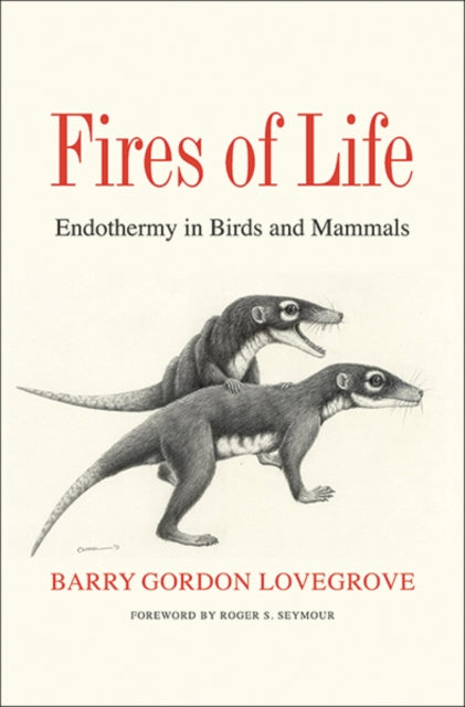 Fires of Life: Endothermy in Birds and Mammals