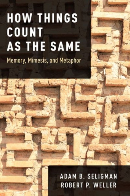 How Things Count as the Same: Memory, Mimesis, and Metaphor