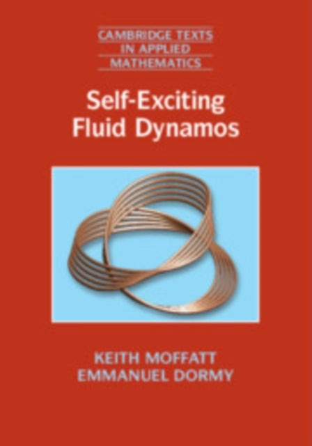 Self-Exciting Fluid Dynamos