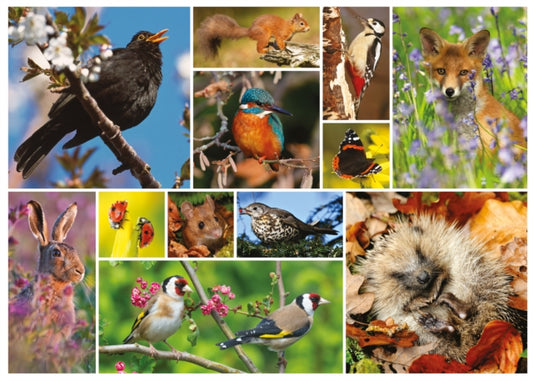 RSPB - Great British Wildlife 1000 Piece Jigsaw