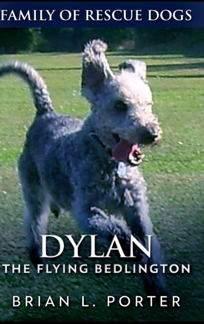 Dylan The Flying Bedlington