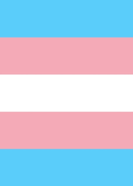 Transgender Pride Flag Sketch Journal