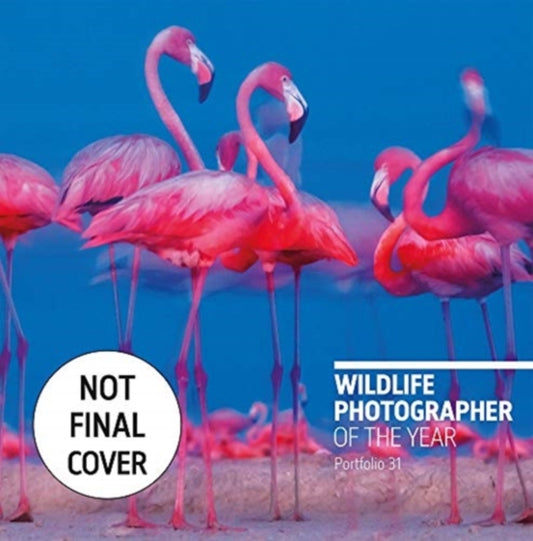 Wildlife Photographer of the Year: Portfolio 31