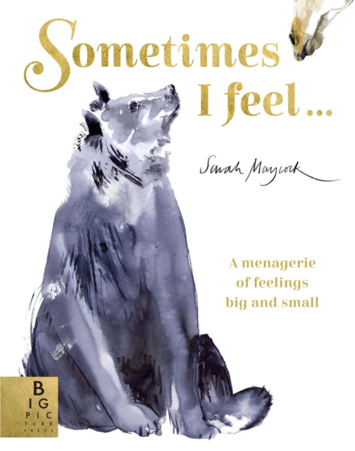 Sometimes I Feel...: A Menagerie of Feelings Big and Small