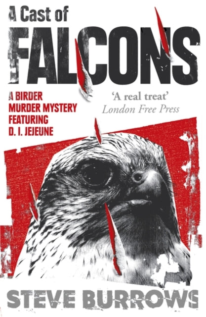 Cast of Falcons: A Birder Murder Mystery