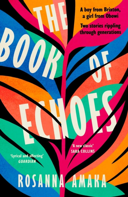 Book Of Echoes: An astonishing debut. 'Impassioned. Lyrical and affecting' GUARDIAN