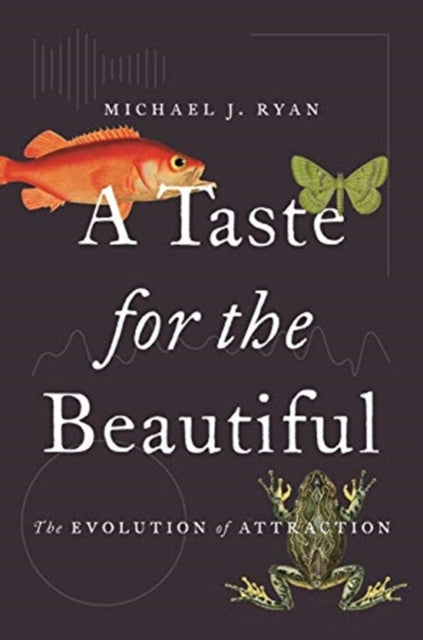 Taste for the Beautiful: The Evolution of Attraction