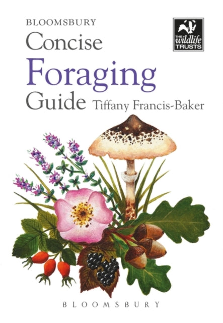 Concise Foraging Guide