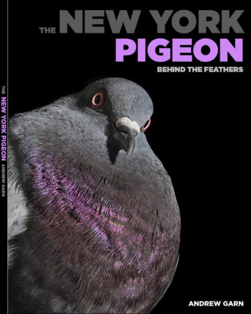 New York Pigeon: Behind the Feathers