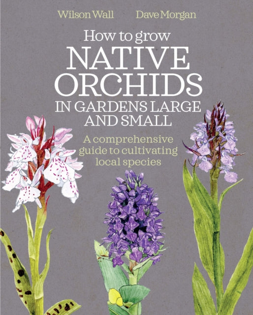 How to Grow Native Orchids in Gardens Large and Small: The Comprehensive Guide to Cultivating Local Species