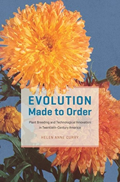 Evolution Made to Order: Plant Breeding and Technological Innovation in Twentieth-Century America