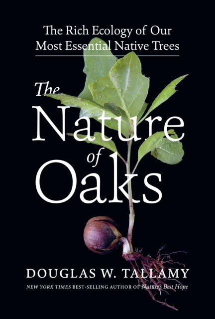 Nature of Oaks: The Rich Ecology of Our Most Essential Native Trees