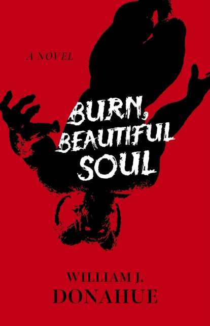 Burn, Beautiful Soul - A Novel