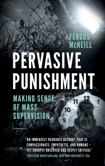 Pervasive Punishment: Making Sense of Mass Supervision