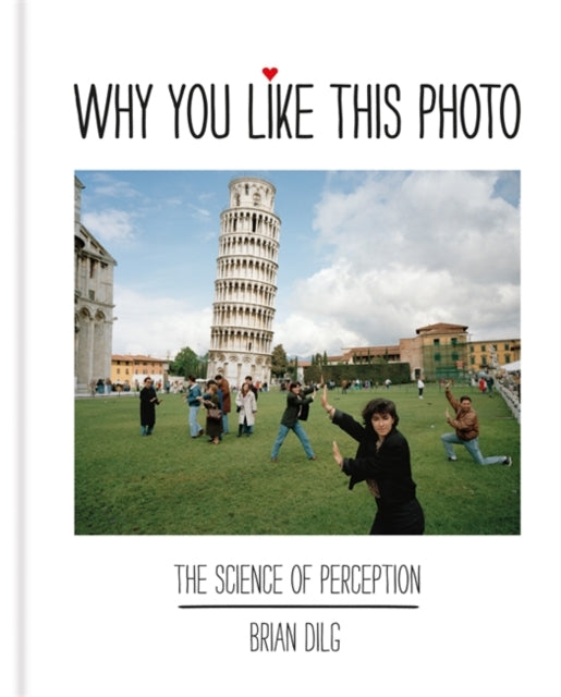 Why You Like This Photo: The science of perception