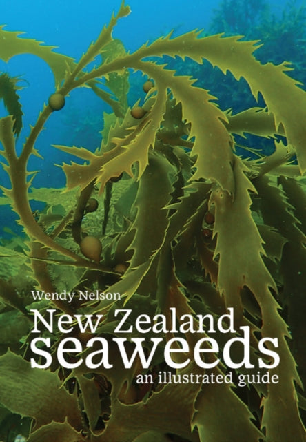 New Zealand Seaweeds: An Illustrated Guide