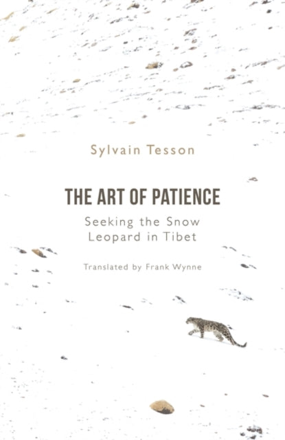 Art of Patience: Seeking the Snow Leopard in Tibet