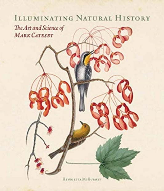 Illuminating Natural History - The Art and Science of Mark Catesby