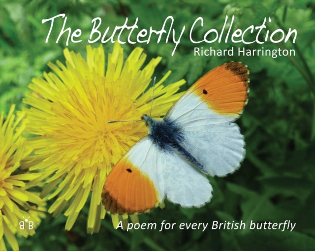 Butterfly Collection