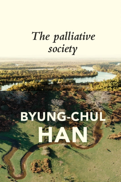 Palliative Society: Pain Today