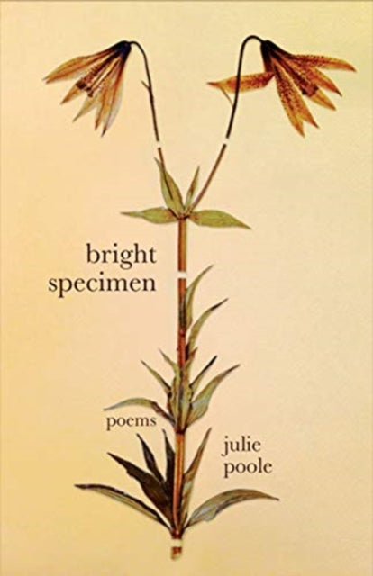 Bright Specimen