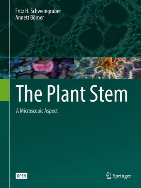 Plant Stem: A Microscopic Aspect