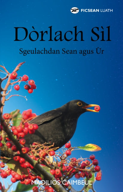 Dorlach Sil: Sgeulachdan Sean agus Ur