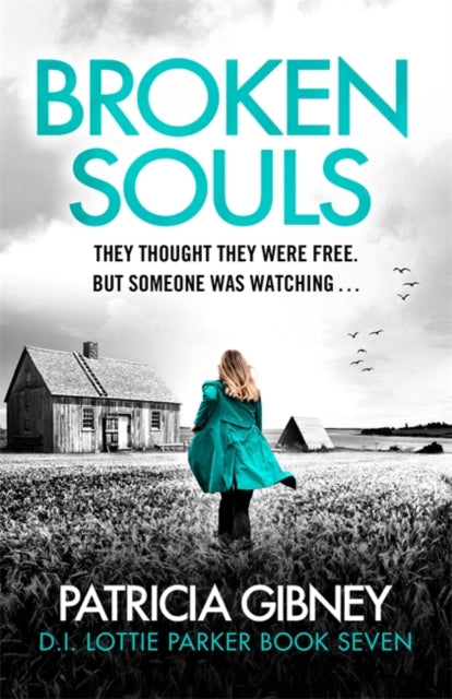Broken Souls: An absolutely addictive mystery thriller with a brilliant twist