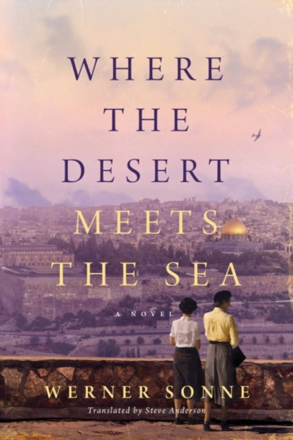 Where the Desert Meets the Sea: A Novel