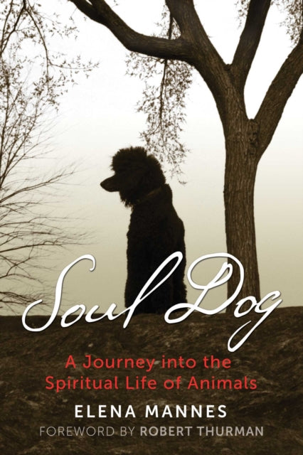 Soul Dog: A Journey into the Spiritual Life of Animals