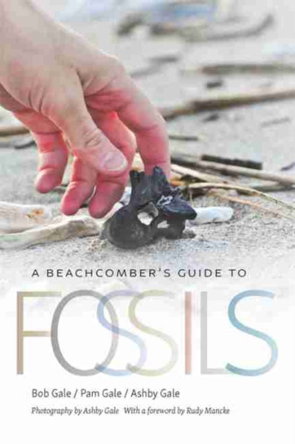 Beachcomber's Guide to Fossils
