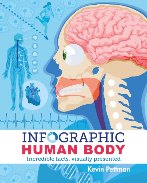 Infographic Human Body: Incredible Facts, Visually Presented