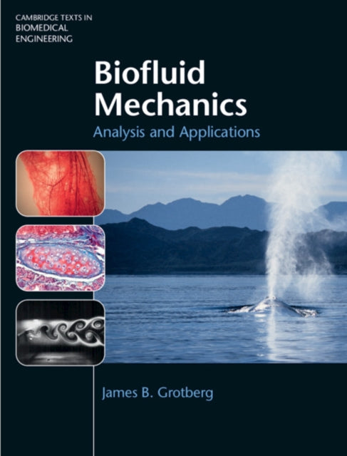 Biofluid Mechanics: Analysis and Applications