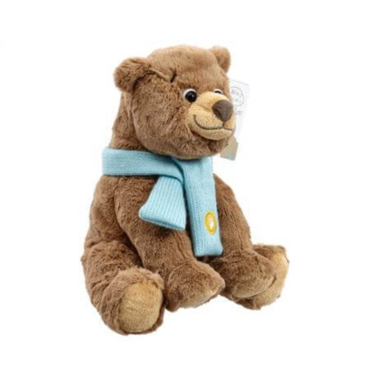 Bear Hunt Soft Toy