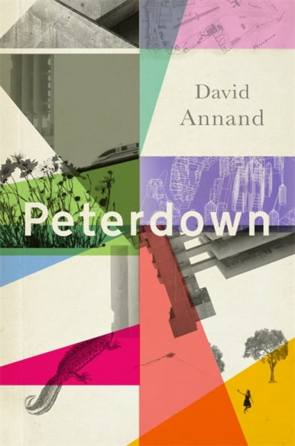 Peterdown: An epic social satire, full of comedy, character and anarchic radicalism