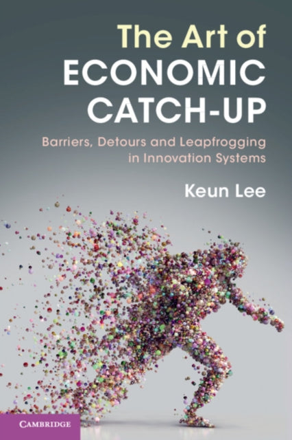 Art of Economic Catch-Up: Barriers, Detours and Leapfrogging in Innovation Systems